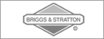 Briggs&Stratton Briggs&Stratton